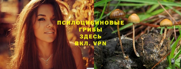 героин Алексин