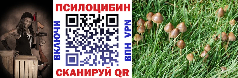 shop состав  Игра  Псилоцибиновые грибы GOLDEN TEACHER  omg онион 